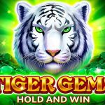 Tiger Gems